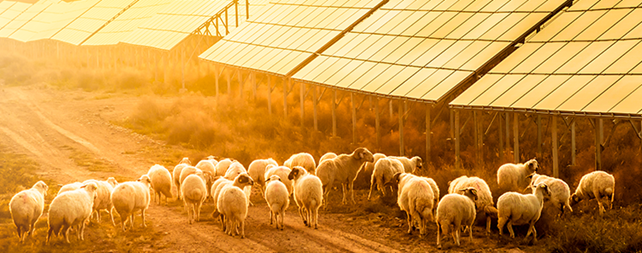 A energia solar pode ser uma grande aliada para o produtor rural.