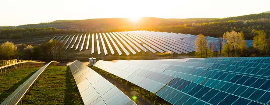 Energia solar para agricultura: como funciona e onde utilizá-la?